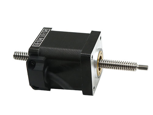 Through-type screw stepper motor